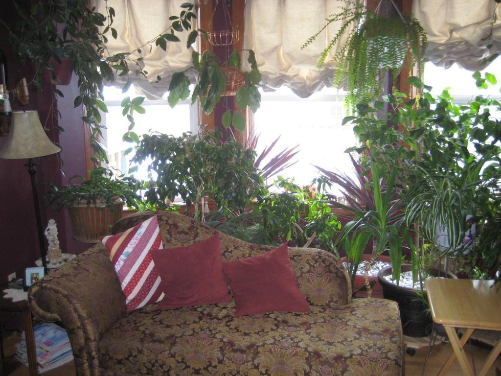 Phoenix House B&B Stettler 외부 사진